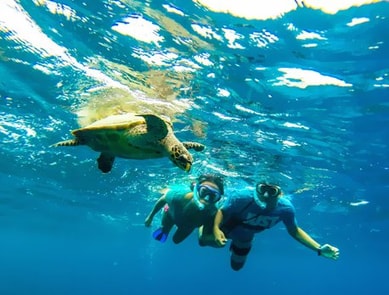 Maldives Snorkeling