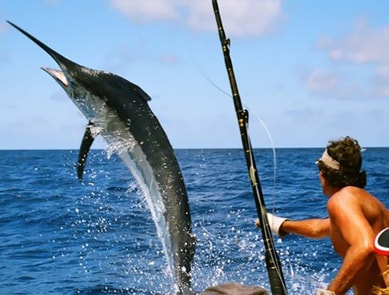 Maldives Big-Game Fishing