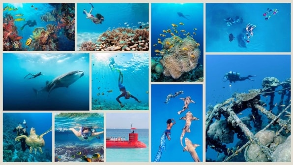 Discover the Wonders of Underwater Experience in the Maldives
