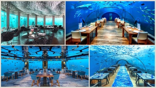 Underwater Dining - An Unforgettable Experience in the Maldives