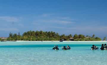 Underwater Kids Paradise